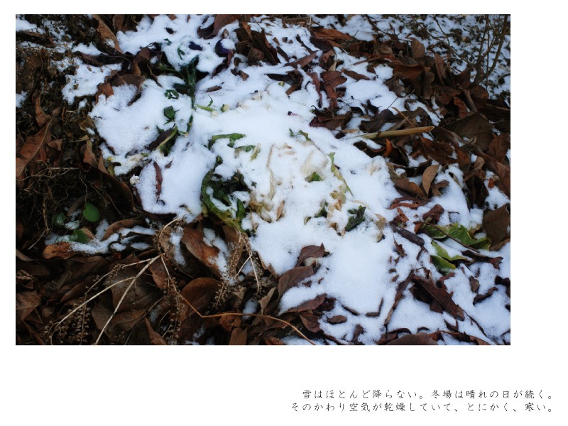 page_15